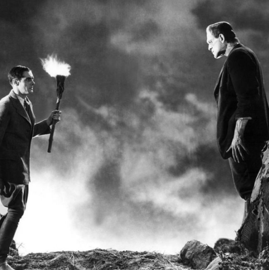 I mille volti di Frankenstein, la filmografia della creatura