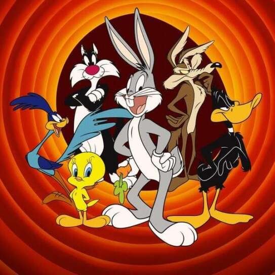 Coyote vs. Acme