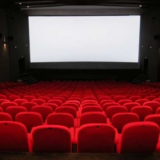 Il Cinema Arlecchino all'asta