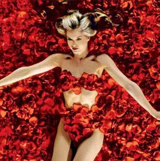 American Beauty