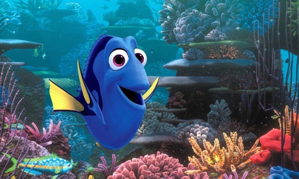 Dory