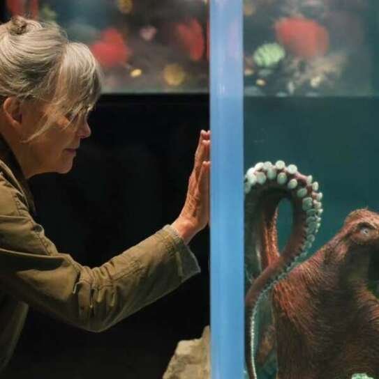Creature luminose, la recensione su Almanacco Cinema
