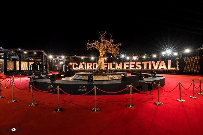 95de73ad5607e89b48755fc79ae895ae Festival del Cairo 50 anni 