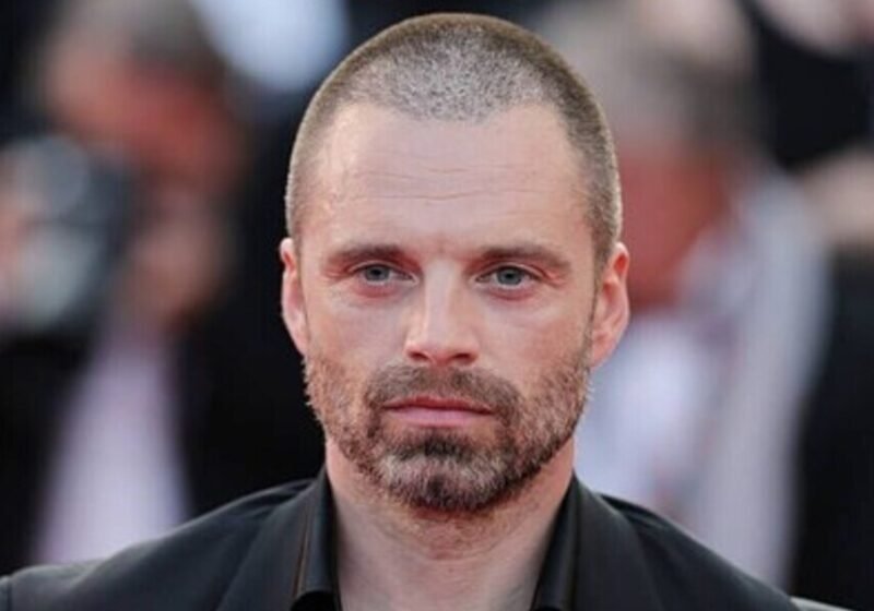 Sebastian Stan, news almanacco cinema