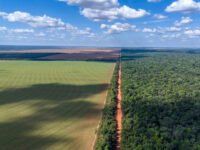 How to feed the planet