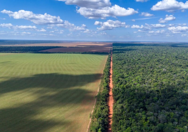 How to feed the planet